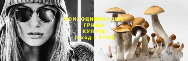 прущие крисы Беломорск