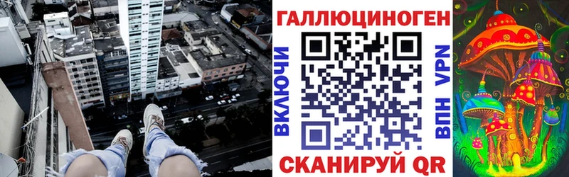 маркетплейс телеграм  Курильск  Псилоцибиновые грибы Psilocybe 